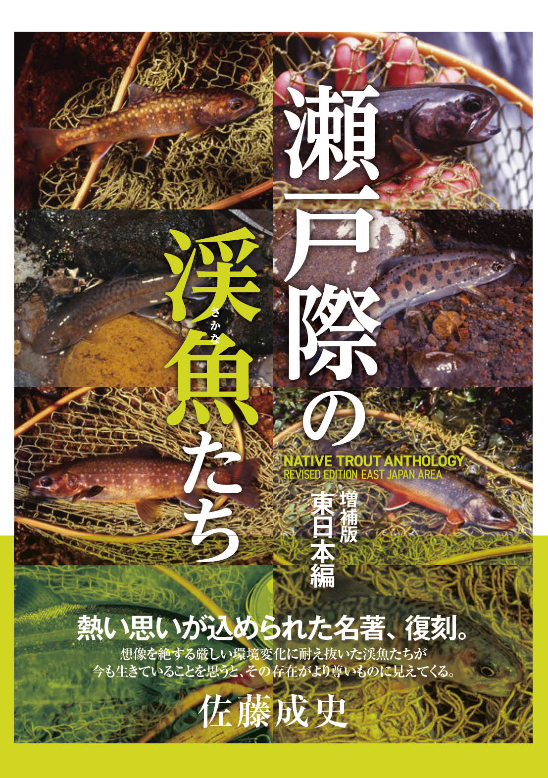 瀬戸際の渓魚たち　東日本編の商品画像