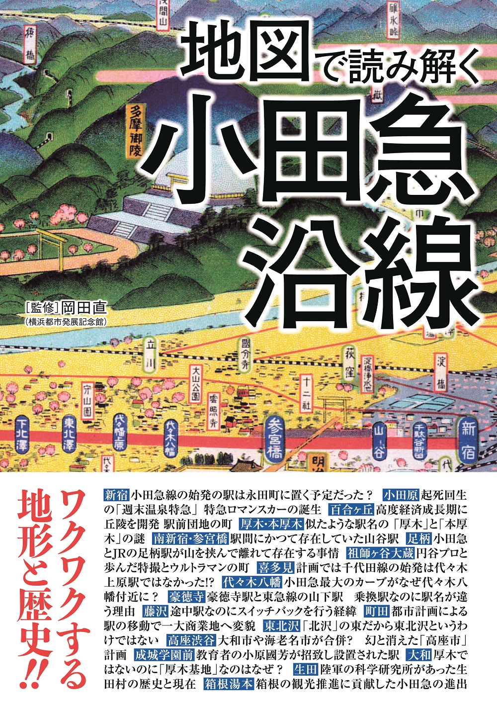 地図で読み解く小田急沿線の商品画像