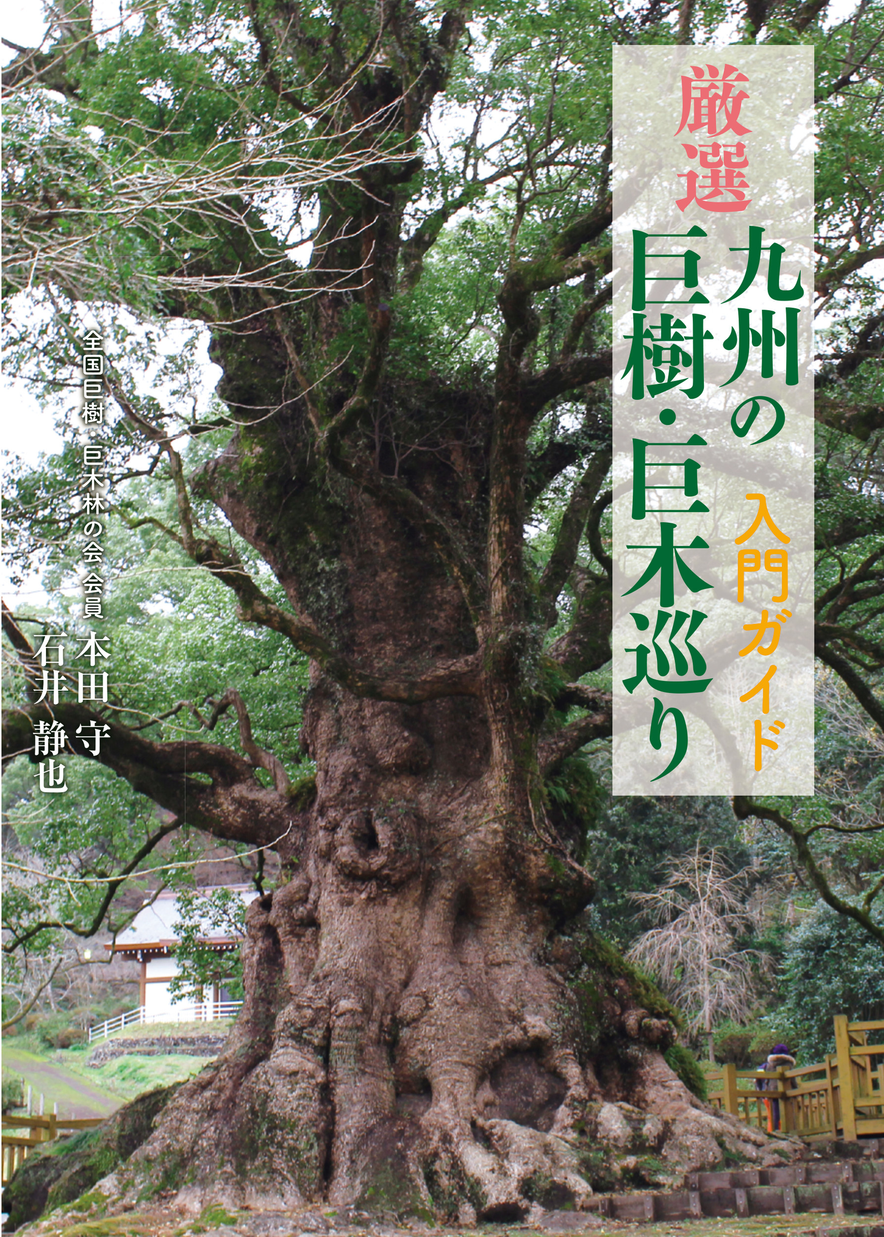 厳選　九州の巨樹・巨木巡り　入門ガイドの商品画像