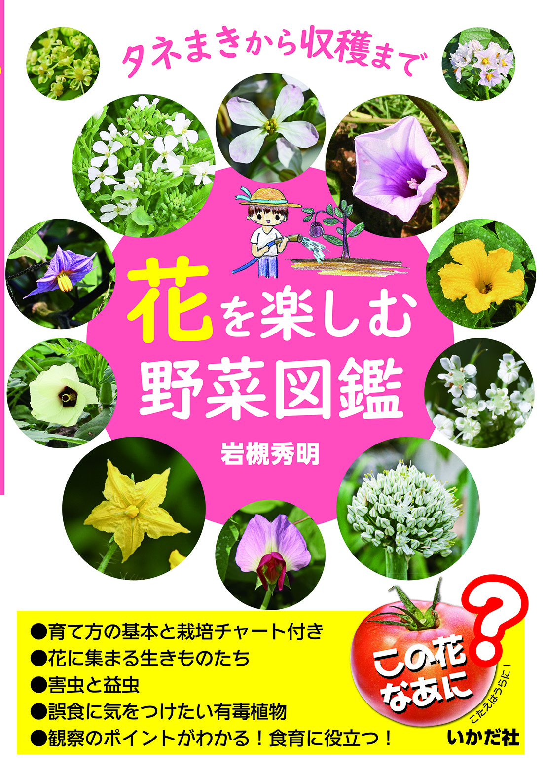 花を楽しむ野菜図鑑の商品画像
