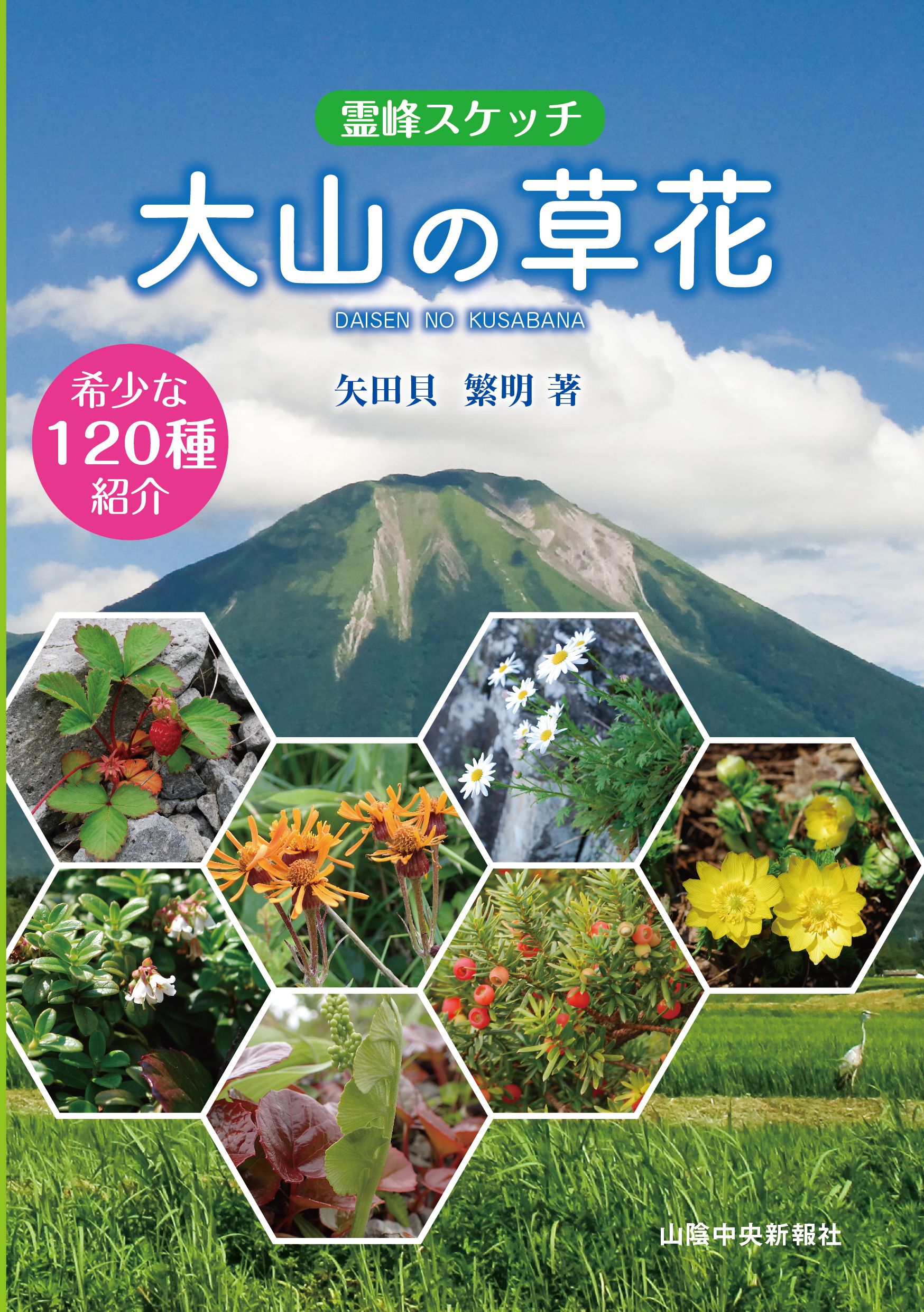 大山の草花―霊峰スケッチ―の商品画像