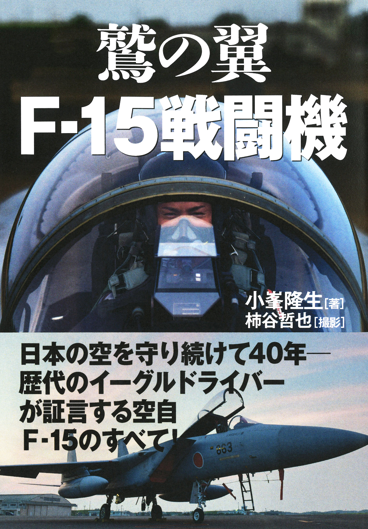 鷲の翼　F-15戦闘機の商品画像