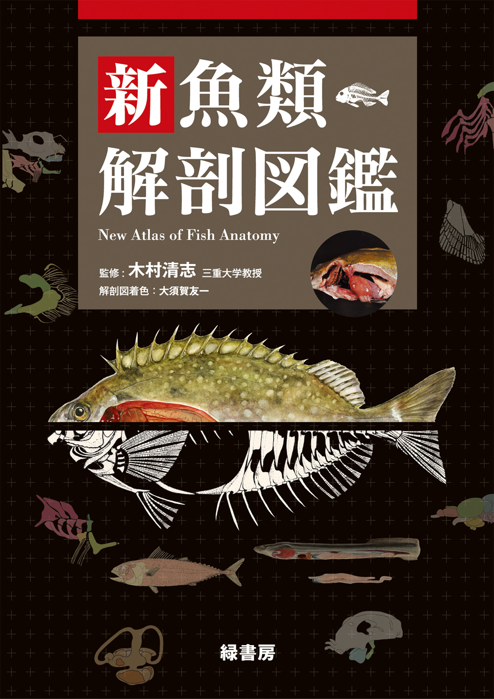 新魚類解剖図鑑の商品画像
