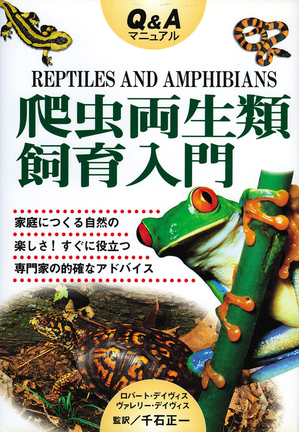 Q&Aマニュアル爬虫両生類飼育入門の商品画像