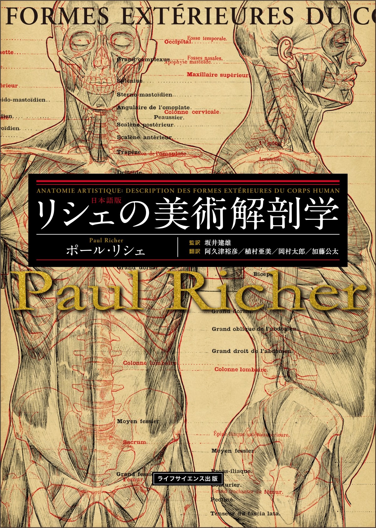 リシェの美術解剖学の商品画像