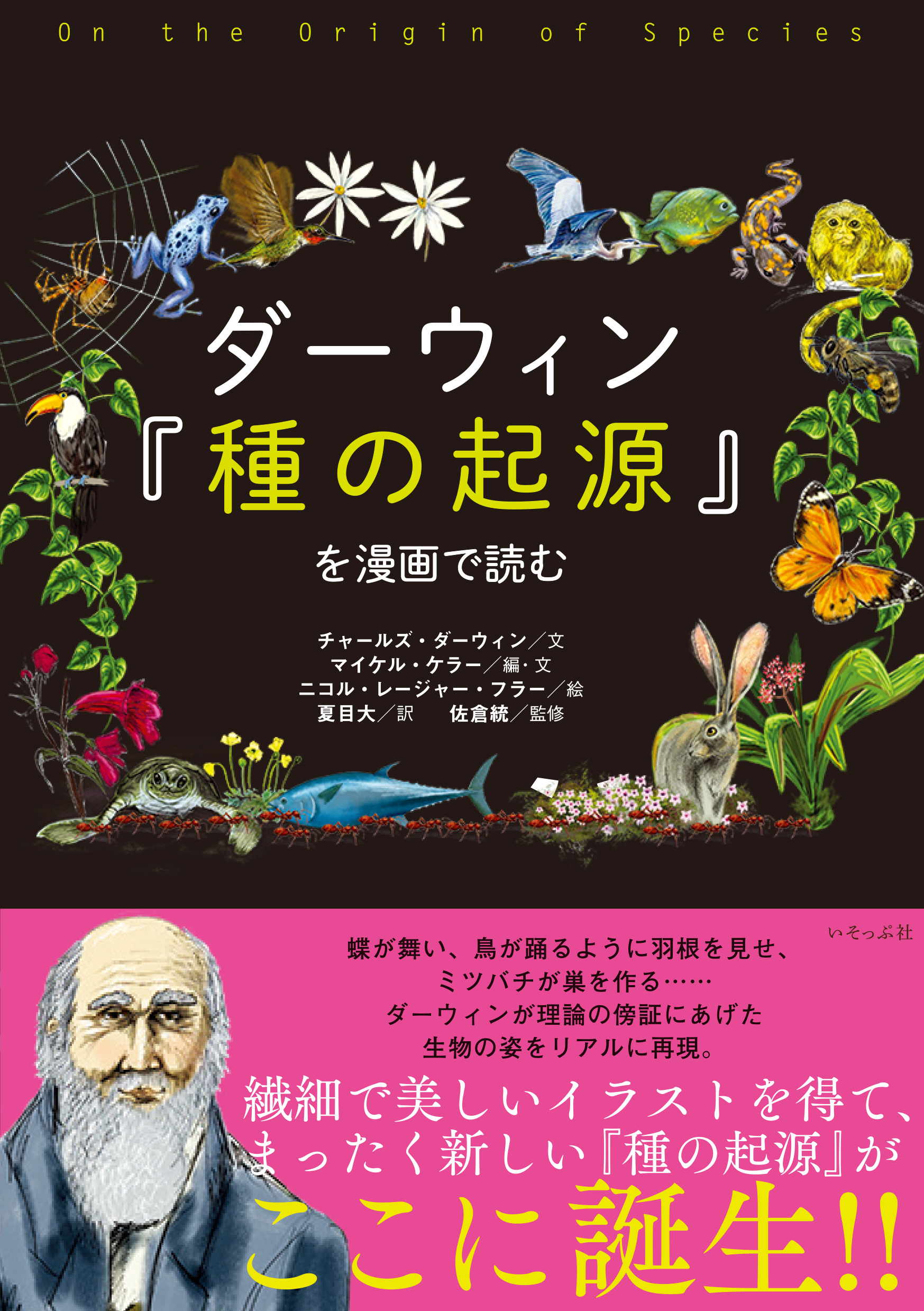 ダーウィン『種の起源』を漫画で読むの商品画像