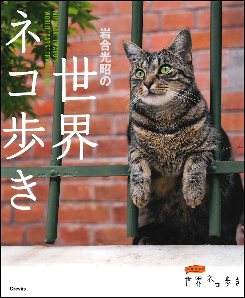 写真文庫　岩合光昭の世界ネコ歩きの商品画像