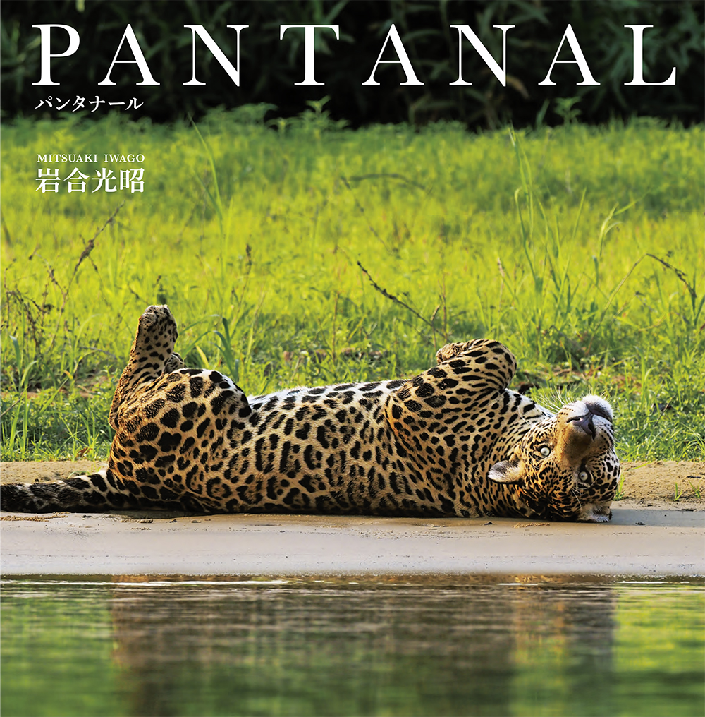 PANTANAL　パンタナールの商品画像