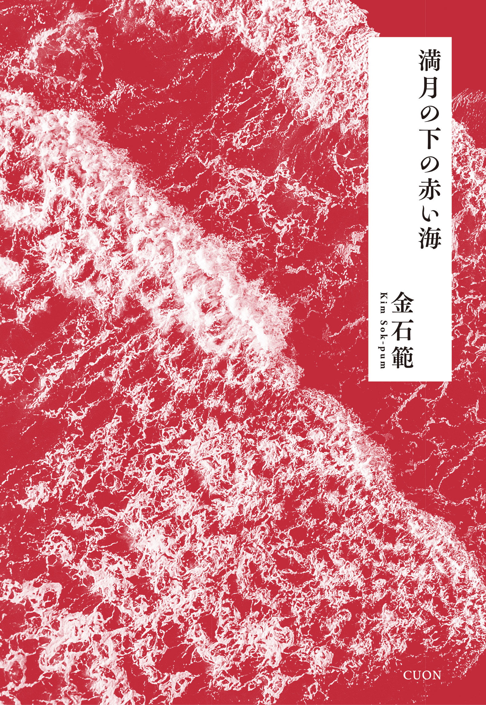 満月の下の赤い海の商品画像