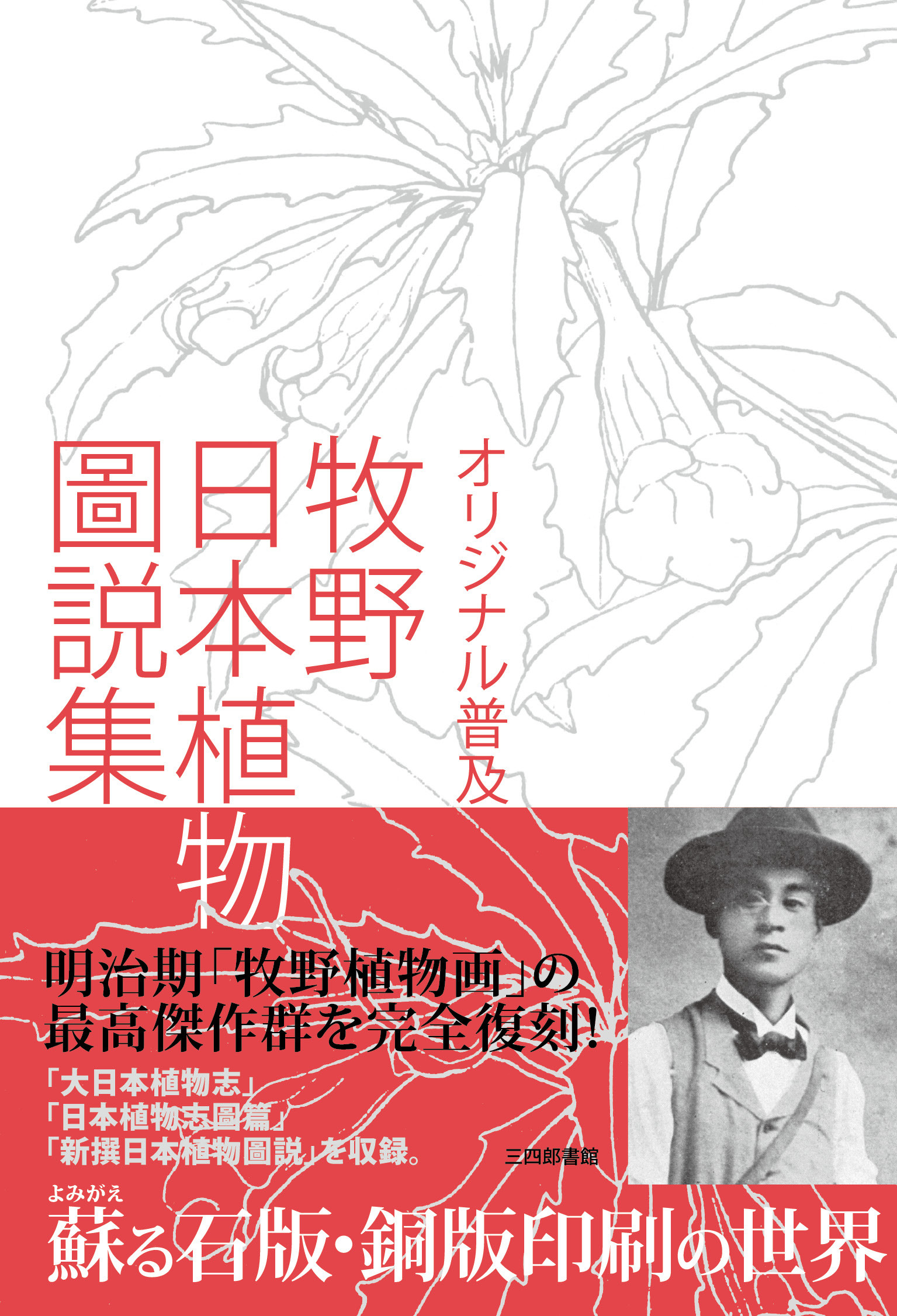オリジナル普及版　牧野日本植物圖説集の商品画像